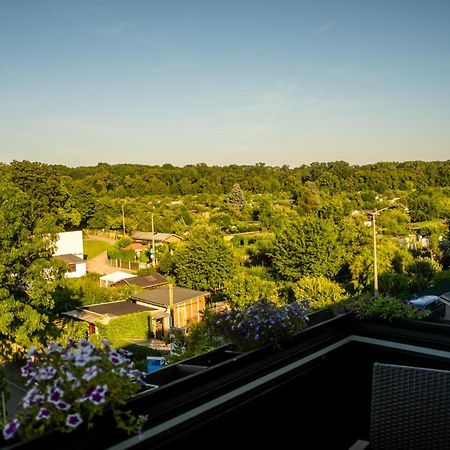 Doppelhaus- Villa Leipzig Schleussig , Moderner Altbau Apartment Dachetage Mit 2 Schlafzimmern Und Separatem Zusatzzimmer , Parkplatz - Balkon - Kamin - Eicheparkett - Arbeitsplatz Eksteriør bilde