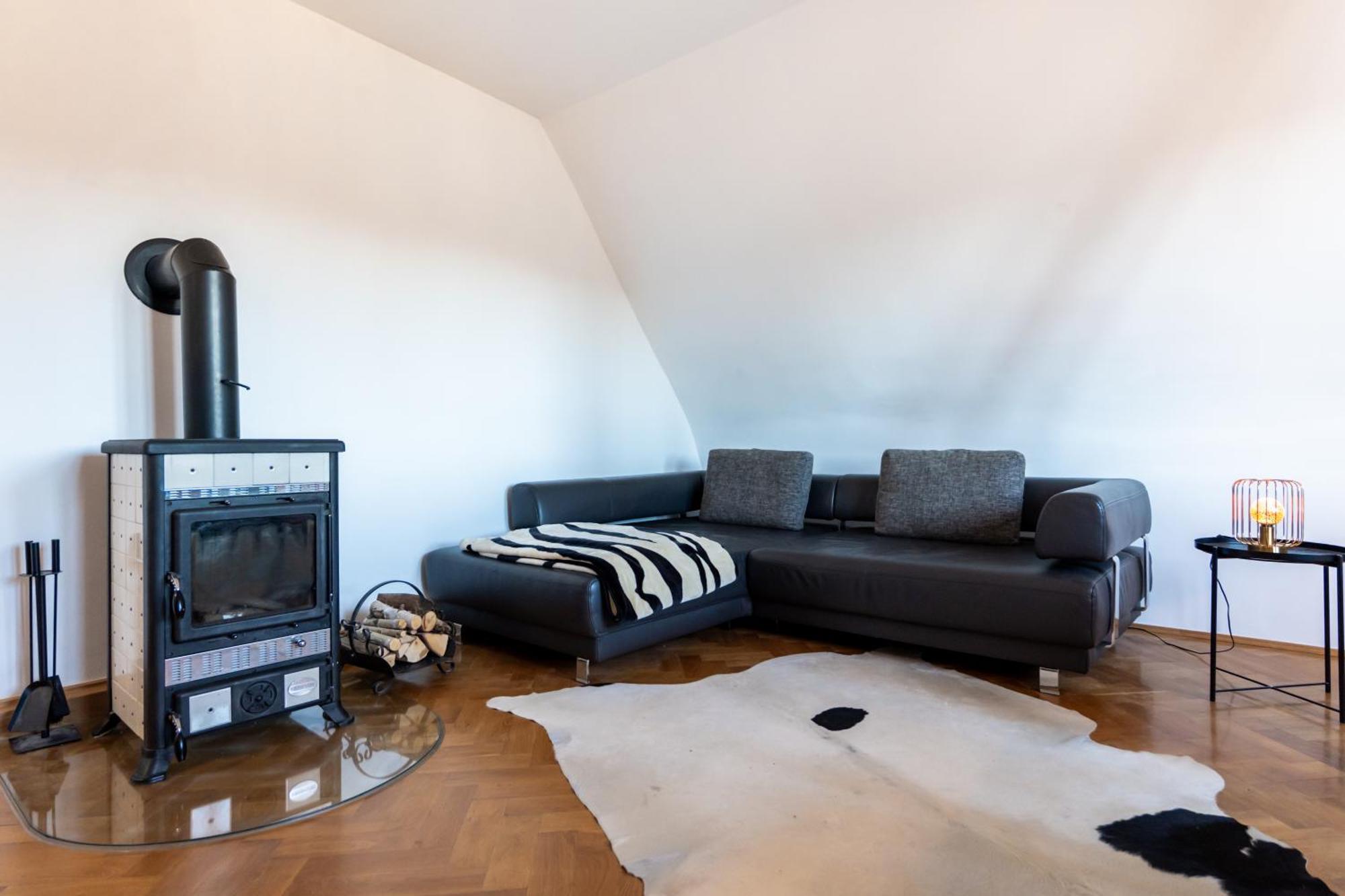 Doppelhaus- Villa Leipzig Schleussig , Moderner Altbau Apartment Dachetage Mit 2 Schlafzimmern Und Separatem Zusatzzimmer , Parkplatz - Balkon - Kamin - Eicheparkett - Arbeitsplatz Eksteriør bilde